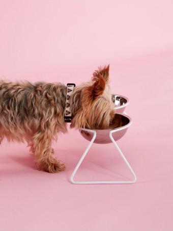 DOG.İST Air Çelik Köpek Mama Ve Su Kabı M-L
