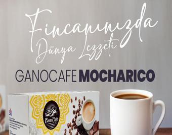 Ganocafe Mocharico