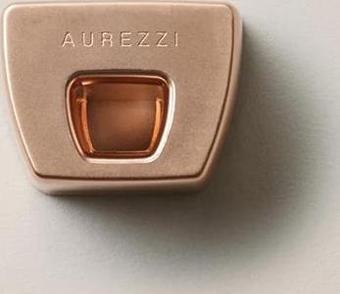 Aurezzi Rose 18K Altın Kaplama Rose Gold Diş Fırçası Standı