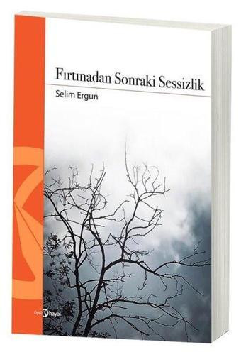 Fırtınadan Sonraki Sessizlik - Selim Ergun - Hayal