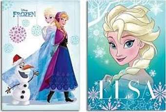 Keskin Frozen Plastik Kapak Defter A4 Kareli 40 Yaprak (322502)