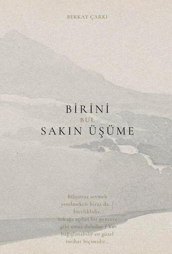 Birini Bul Sakın Üşüme - Berkay Çarkı - Akdoğan Yayınevi