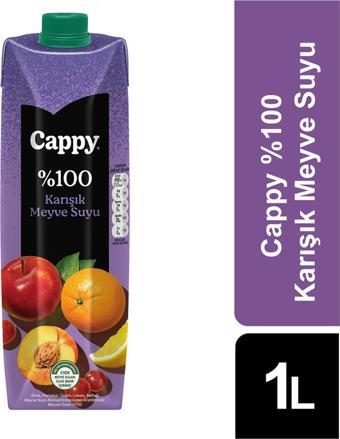 Cappy %100 Karışık Meyve Suyu 1 Lt