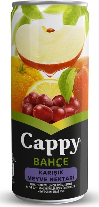 Cappy Bahçe Karışık Meyve 250 Ml