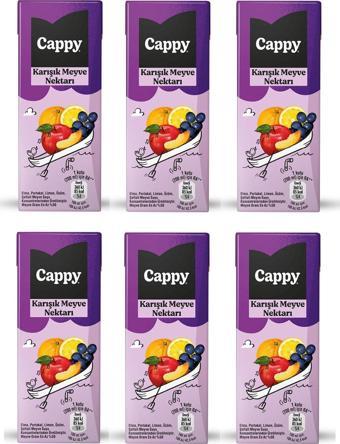 Cappy Bahçe Karışık Meyve Nektarı 200 Ml X 6 Adet