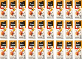 Cappy Bahçe Kayısı Nektarı 200 Ml X 27 Adet