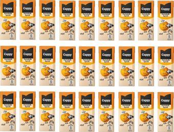 Cappy Bahçe Portakallı İçecek 200 Ml X 27 Adet