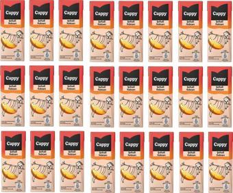 Cappy Bahçe Şeftali Nektarı 200 Ml X 24 Adet