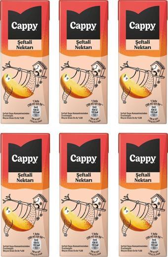 Cappy Bahçe Şeftali Nektarı 200 Ml X 6 Adet