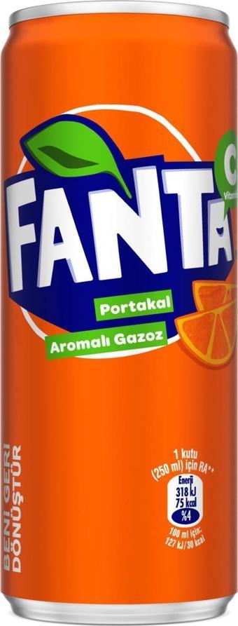 Fanta Portakal Aromalı Gazoz 250 Ml