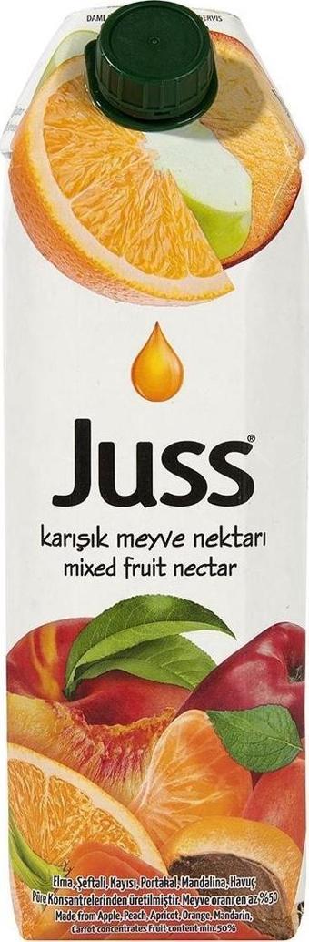 Juss Karışık Meyve Nektarı 1 Lt