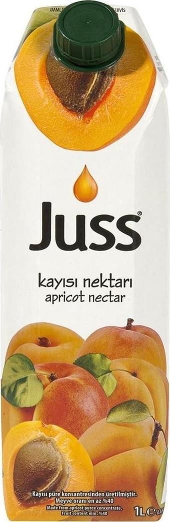 Juss Kayısı Nektarı 1 Lt