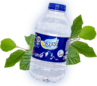 Kayın Doğal Kaynak Suyu 330 Ml X 12 Adet