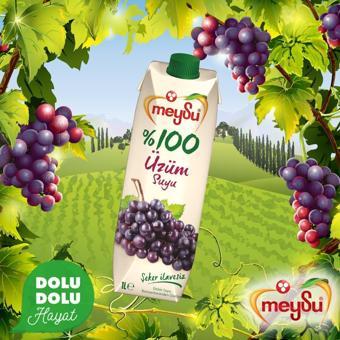 Meysu %100 Üzüm Suyu 1 Lt