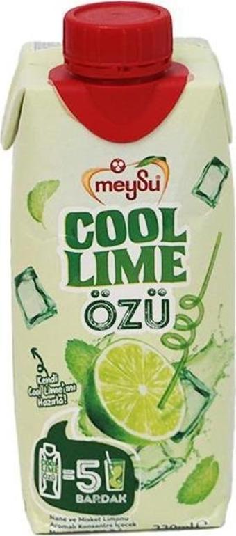 Meysu Cool Lime Özü 330 Ml