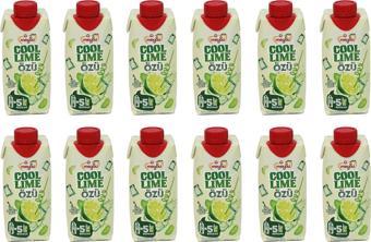 Meysu Cool Lime Özü 330 Ml X 12 Adet