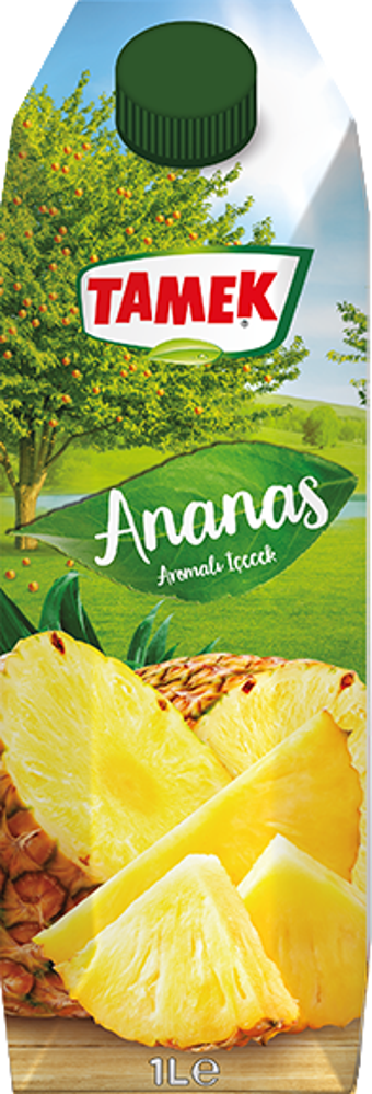 Tamek Ananas Nektarı 1 Lt