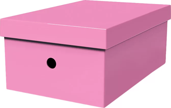MAS 8226 RAİNBOW KARTON BÜYÜK BOY ARŞİV KUTUSU PEMBE
