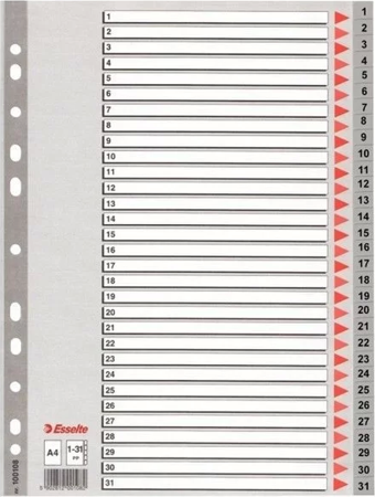 Esselte Seperatör 1-31 Rakamlı (Ayraç)