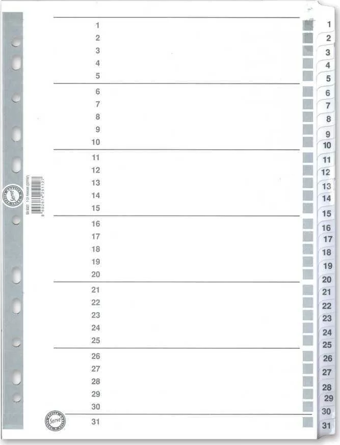 Serve Seperatör A4 1-31 Rakam Karton