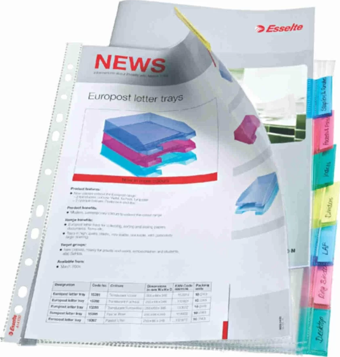 Esselte 414150 Ayraçlı Poşet Dosya (8 Sayfa)