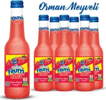 Uludağ Frutti Extra Orman Meyveli 250 Ml X 6 Adet