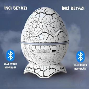 Deluxe Dinozor Yumurtası Gece Masa Lambası Bluetooth Hoparlör Led Lamba Galaxy Projektör Led Işık