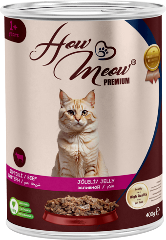 HOW MEOW 12 ADET PATE YETİŞKİN KEDİ YAŞ MAMASI BİFTEKLİ 400 GRAM