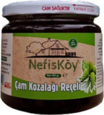 Aktarist Nefis Köy Çam Kozalağı Reçeli 450Gr