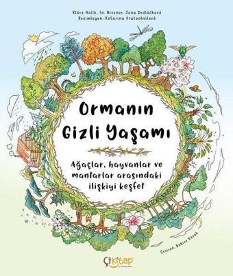 Ormanın Gizli Yaşamı - Jana Sedlackova - Çi Kitap Yayınları