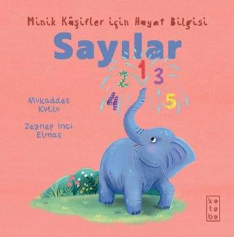 Sayılar - Minik Kaşifler İçin Hayat Bilgisi - Mukaddes Kutlu - Ketebe