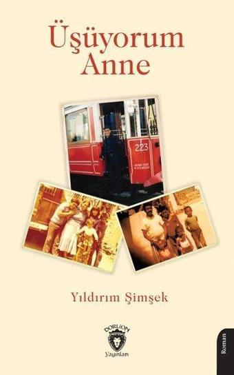 Üşüyorum Anne - Yıldırım Şimşek - Dorlion Yayınevi