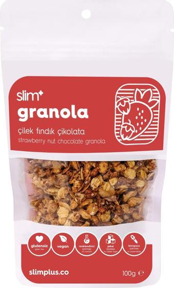 Çikolata Çilek Fındık Glutensiz İlave Şekersiz Vegan Granola 100gr