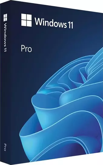 Windows 11 Pro Lisans - 32BİT/64BİT - USB