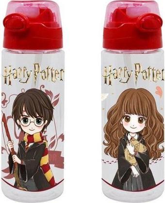 Harry Potter 700ml Matara 2272 