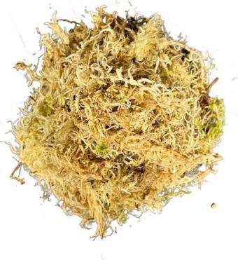 Sphagnum Yosunu 5 LT