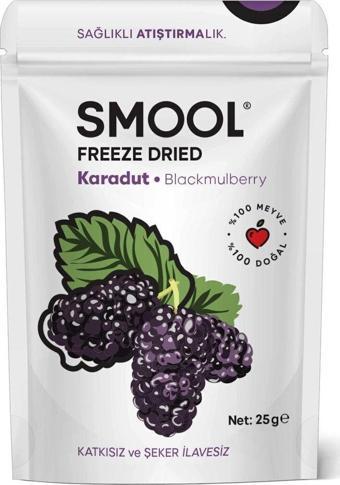 Smool Freeze Dried Karadut (Dondurularak Kurutulmuş) 25 Gr Sağlıklı Atıştırmalık Freeze Dry Blackmulberry