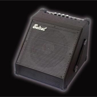 BELCAT Profesyonel Aktif Bas Ve Davul Amfisi Dr-30 Model 30 Wat
