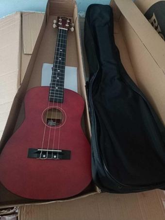 Karin Rogne Bordo Mat Cila Bareton Ukulele-Kılıf Ve Pena Hediyeli