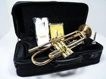 Wisemann Dtr-200 Si Bemol Trompet Seti Gold Model Kanvas Çantalı Set