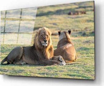 Aslan 3 Cam Tablo