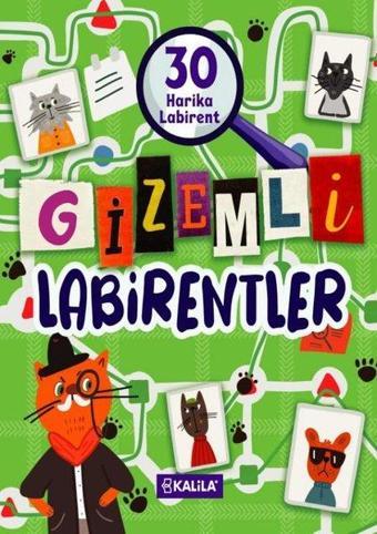 Gizemli Labirentler - 30 Harika Labirent - Kolektif  - Kalila Yayınları