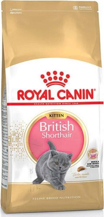 Lisinya Royal Canin British Shorthair Kitten Yavru Kedi Maması 2 Kg