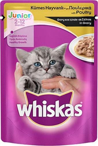 Sky Toptan Whiskas Junior Tavuklu Yavru Kedi Konservesi Pouch 100 Gr