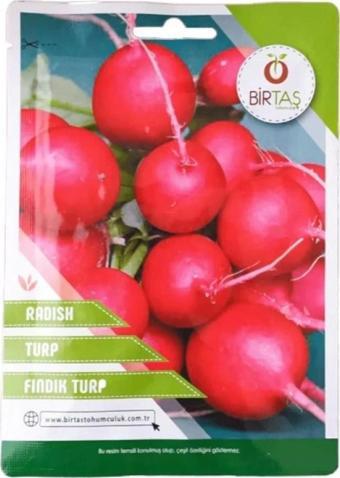 Birtaş Fındık Turp Tohumu