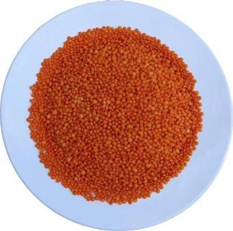 Şenler Yeni Mahsül - Doğal Kırmızı Mercimek - 1 Kg