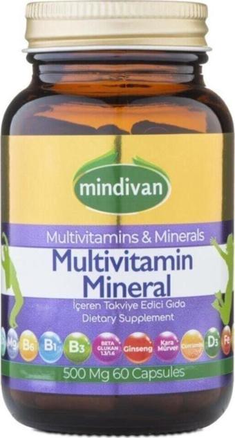 Mindivan Multivitamin Mineral Ve Bitki Ektreleri 60 Kapsül 500Mg 2 Adet