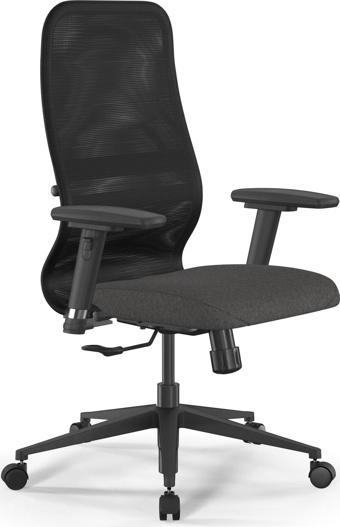 Ergolife Fileli Ergonomik Ofis Koltuğu / Çalışma Sandalyesi Synchrosit 8 B2-9D - 3D / 1225933