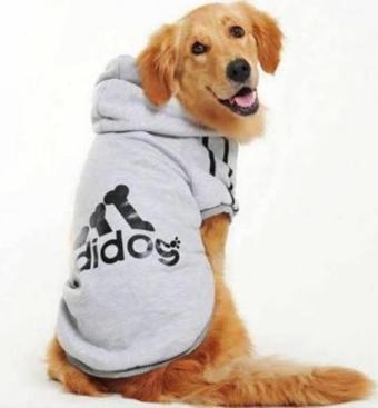 Gri Adidog Kapşonlu Sweatshirt, Orta ve Büyük Irklar İçin