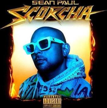 Island Records UK Sean Paul Scorcha Plak - Sean Paul